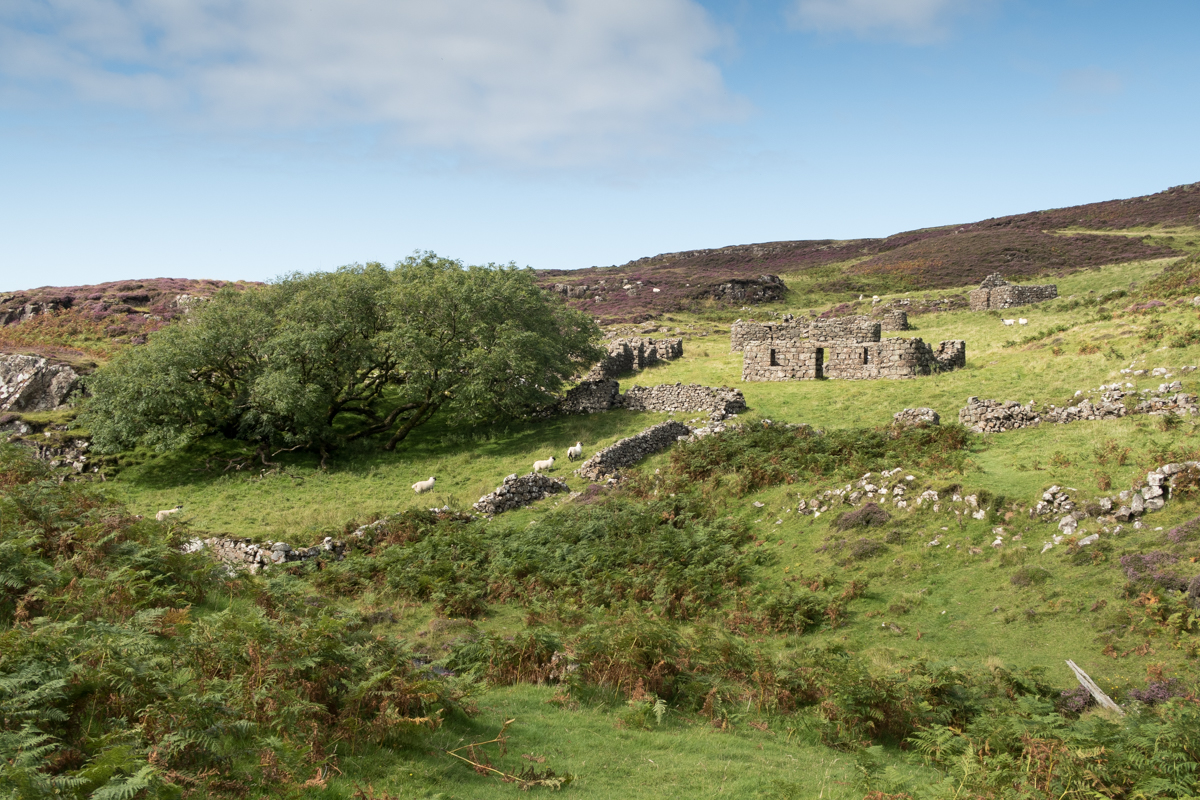 Isle of Mull Cottages 4 of the Best All-Day Walks on Mull - Isle of ...