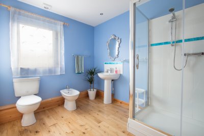 Ground floor family bathroom with large walk in shower