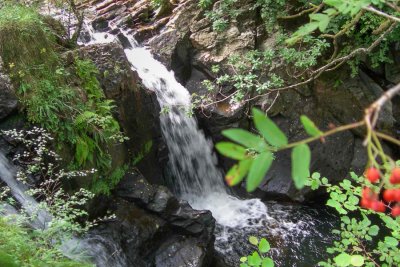 Waterfall in the woodland to the rear of the cottage