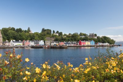Tobermory harbour in summer