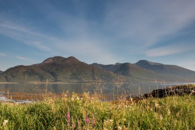 Loch na Keal is close to the house - a great area for wildlife