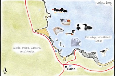Salen Bay Detailed Map