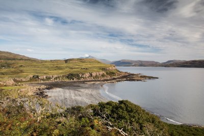 Looking over the woodland at Traigh na Cillle with Ben More in the distance