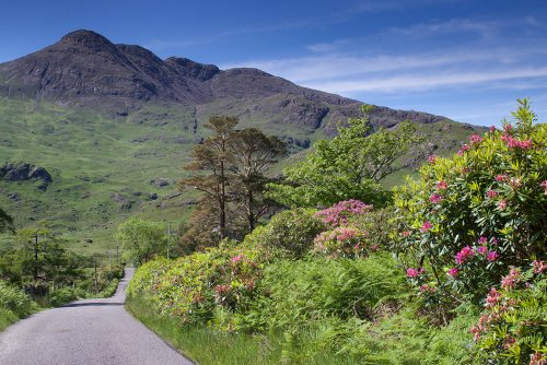 Road leading to the cottage - alongside Loch Uisg