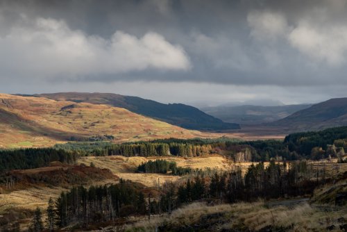 Glen Bellart is a wildlife paradise with open hill and forest galore