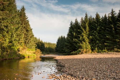 Wander along the stunning shores of the River Forsa