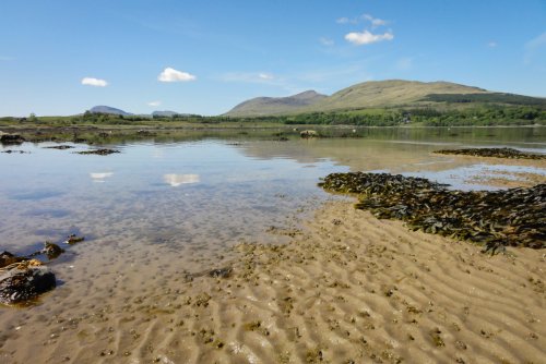 Discover small sandy bays on a low tide on the south east coast